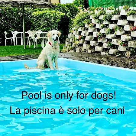 Apartment Appartamenti Casa Lory *